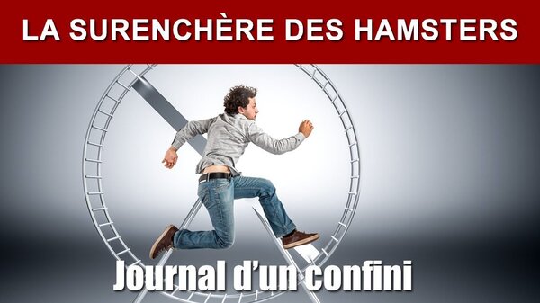 3 avril - J 18 - 89 kg. Les hamsters sont des mauvais joueurs de poker...