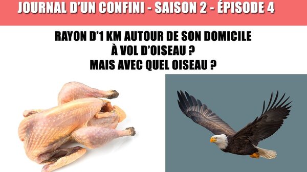 Activité sportive : limite de 1km à vol d'oiseau, ok, mais avec quel oiseau ?