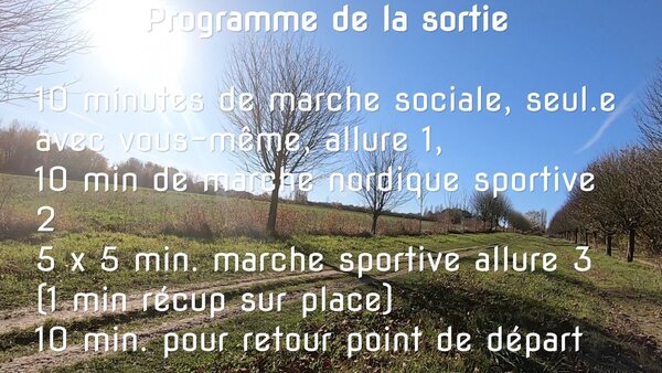 Entraînement Marche Nordique - 1 heure - Marche Sportive