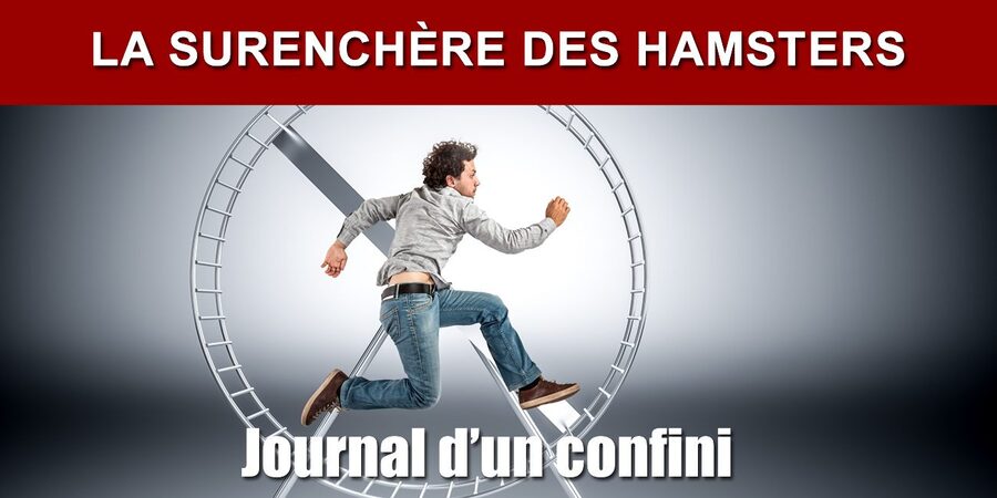 3 avril - J 18 - 89 kg. Les hamsters sont des mauvais joueurs de poker...